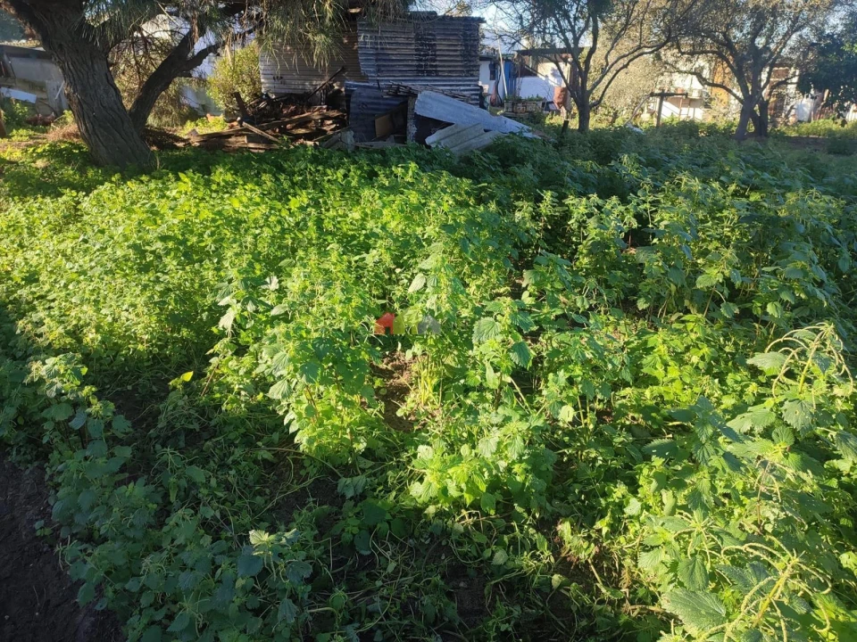 Terreno para Venda em Gaio-Rosário e Sarilhos Pequenos Foto 12