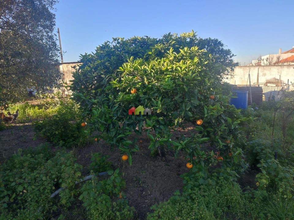 Terreno para Venda em Gaio-Rosário e Sarilhos Pequenos Foto 7