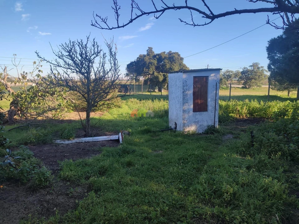 Terreno para Venda em Gaio-Rosário e Sarilhos Pequenos Foto 6