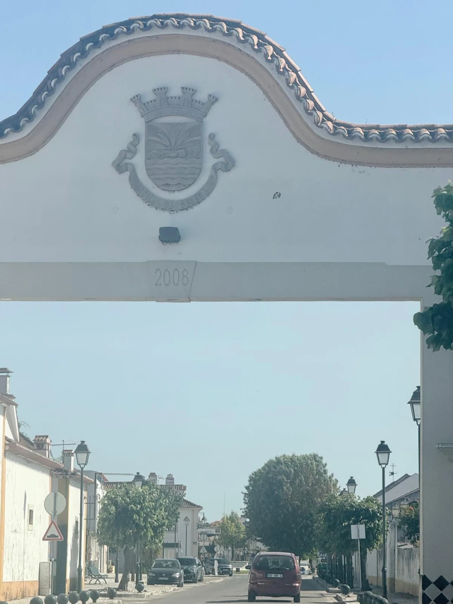 Moradia T5 para Venda em Golegã Foto 2