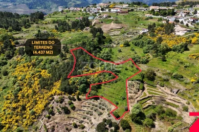 Moradia T1 para Venda em Torgueda