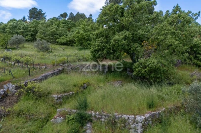 Moradia T1 para Venda em Torgueda