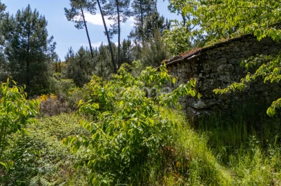 Moradia T1 para Venda em Torgueda