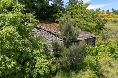 Moradia T1 para Venda em Torgueda