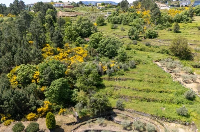 Moradia T1 para Venda em Torgueda