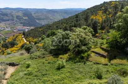 Moradia T1 para Venda em Torgueda