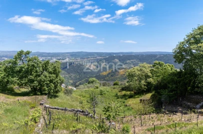 Moradia T1 para Venda em Torgueda