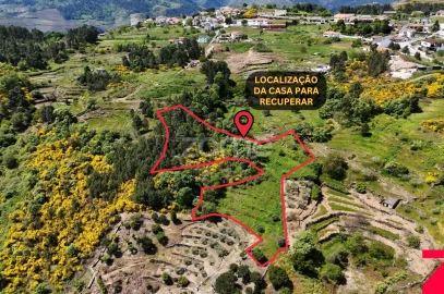 Moradia T1 para Venda em Torgueda