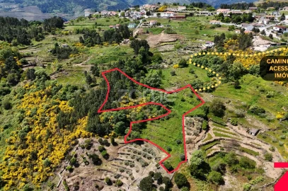 Moradia T1 para Venda em Torgueda