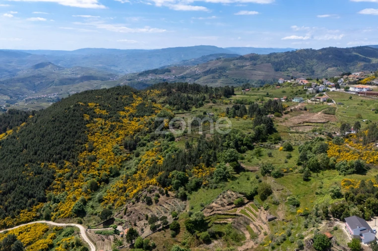 Moradia T1 para Venda em Torgueda Foto 26