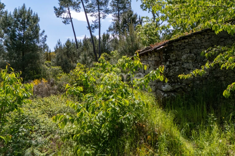 Moradia T1 para Venda em Torgueda Foto 23