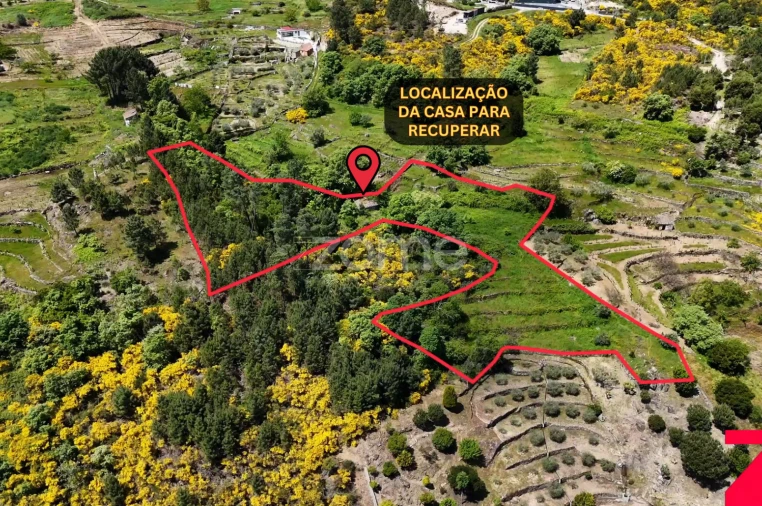 Moradia T1 para Venda em Torgueda Foto 4