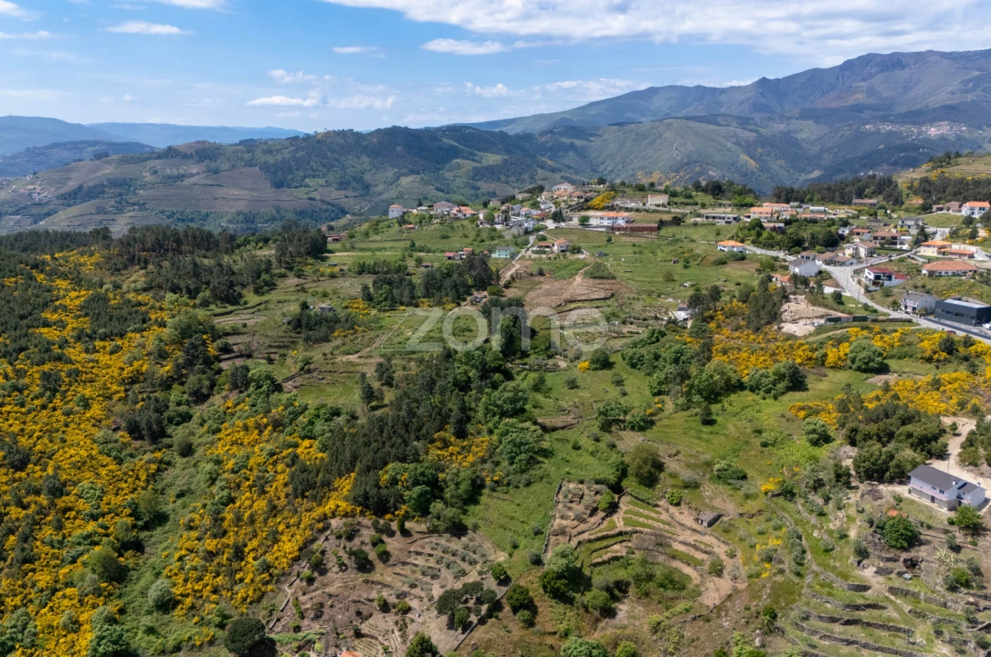 Moradia T1 para Venda em Torgueda Foto 25