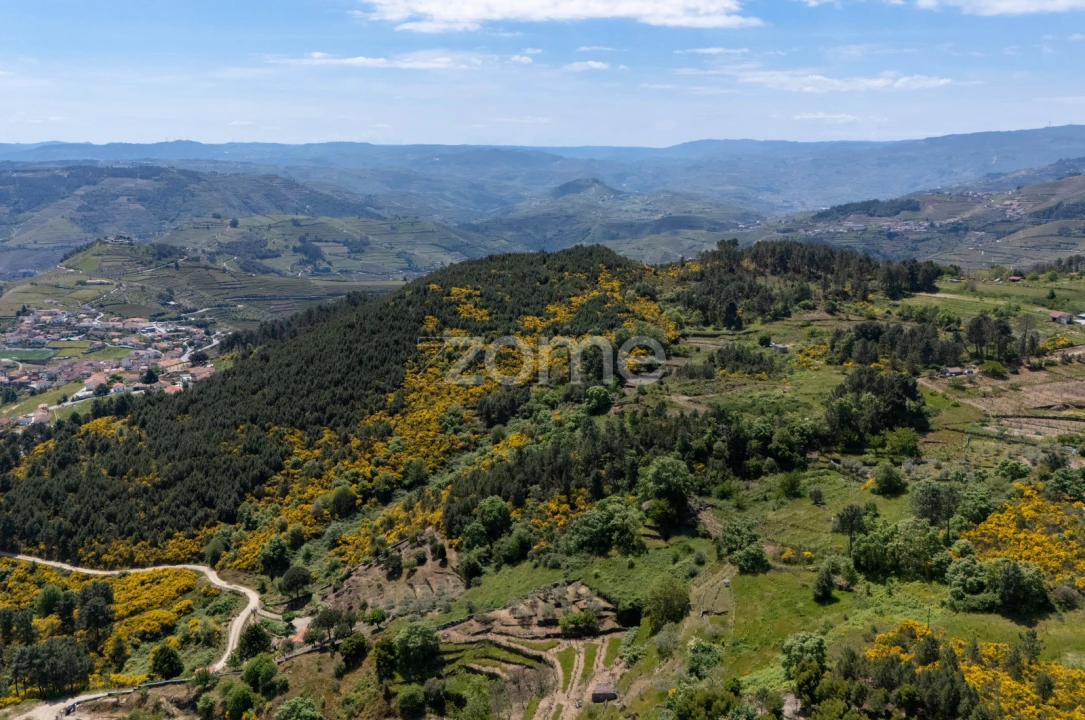 Moradia T1 para Venda em Torgueda Foto 27