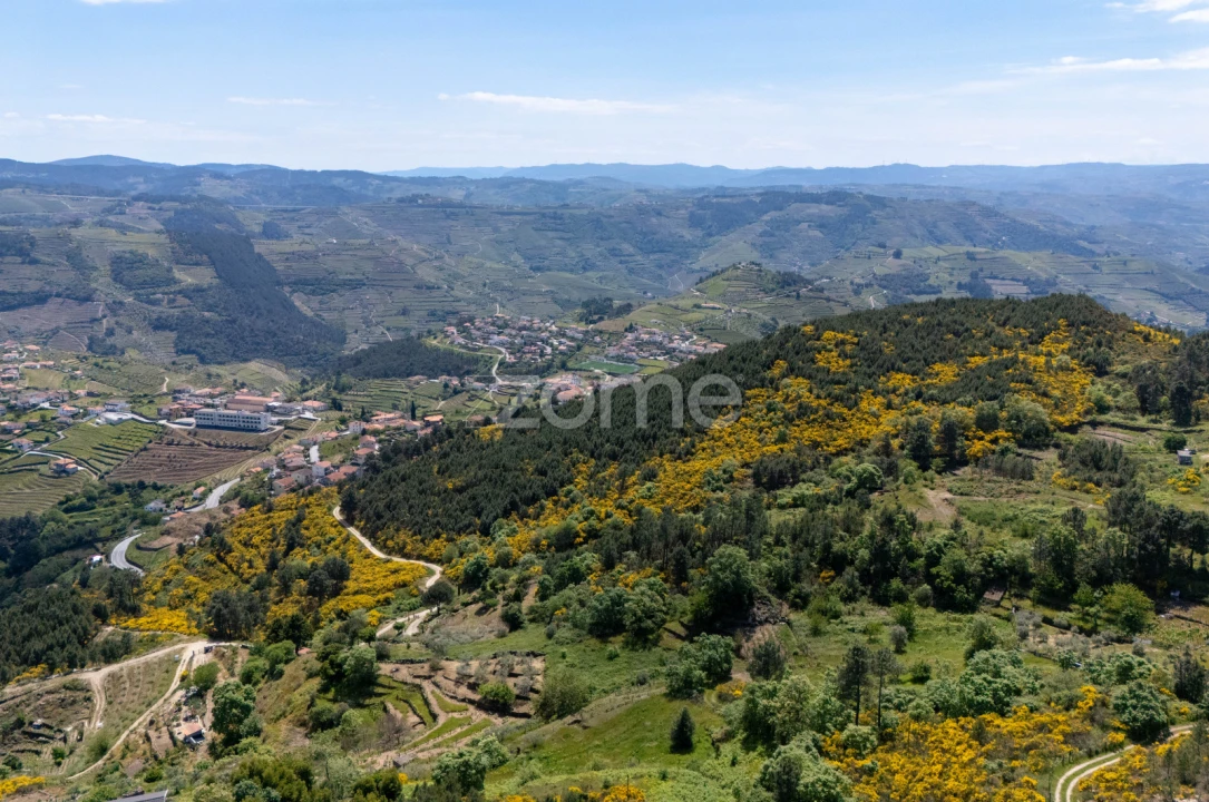 Moradia T1 para Venda em Torgueda Foto 28