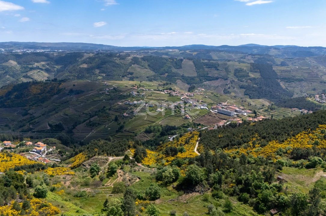 Moradia T1 para Venda em Torgueda Foto 29
