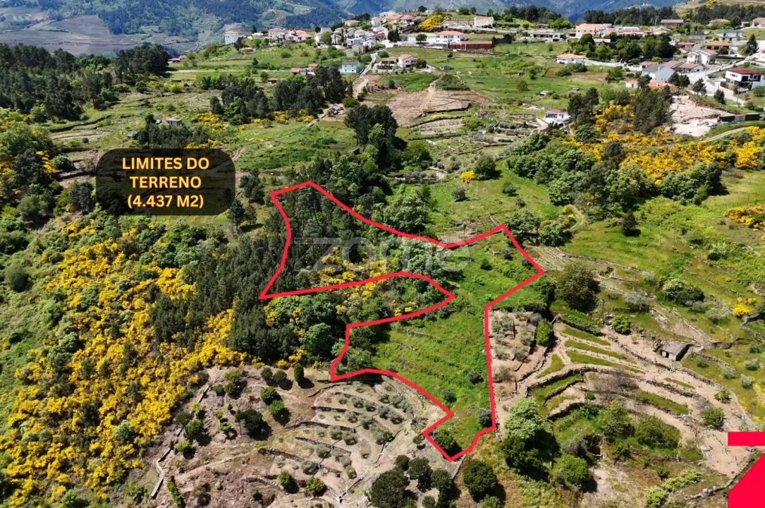 Moradia T1 para Venda em Torgueda Foto 7