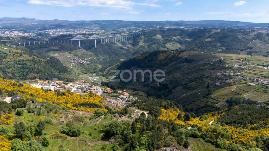 Moradia T1 para Venda em Torgueda