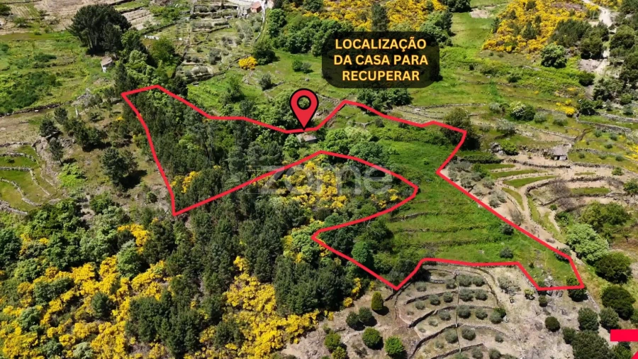 Moradia T1 para Venda em Torgueda