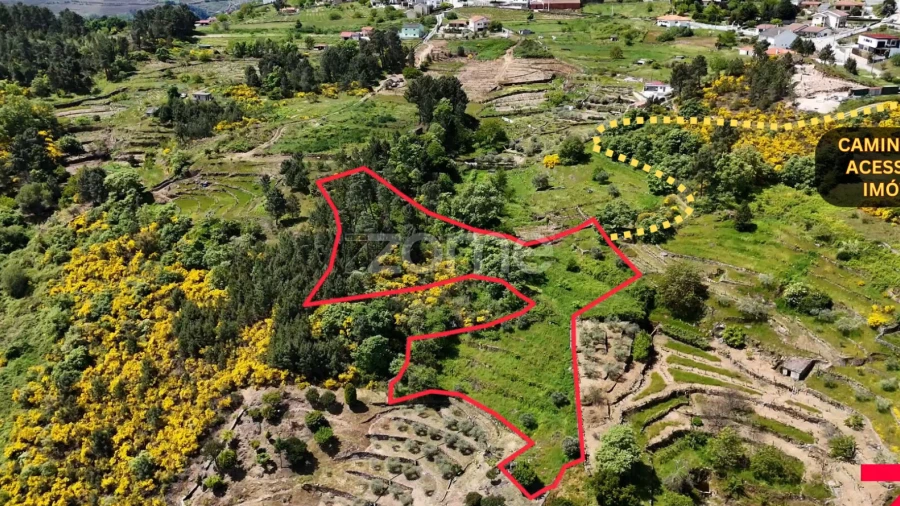 Moradia T1 para Venda em Torgueda