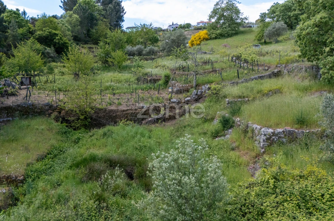 Moradia T1 para Venda em Torgueda Foto 16