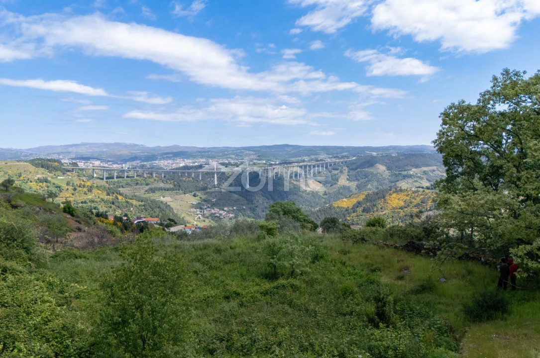 Moradia T1 para Venda em Torgueda Foto 3