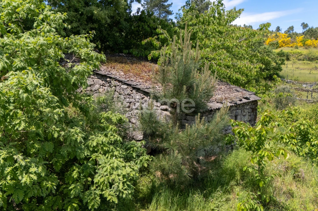 Moradia T1 para Venda em Torgueda Foto 12