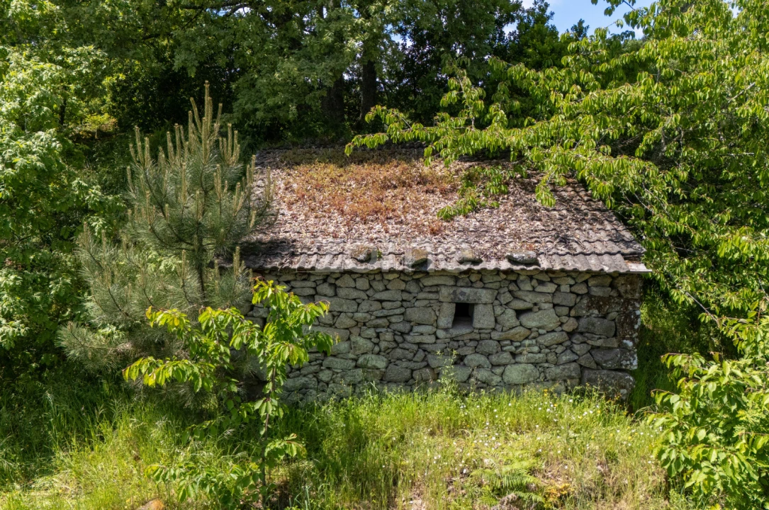 Moradia T1 para Venda em Torgueda Foto 13