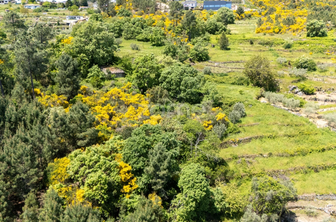 Moradia T1 para Venda em Torgueda Foto 20