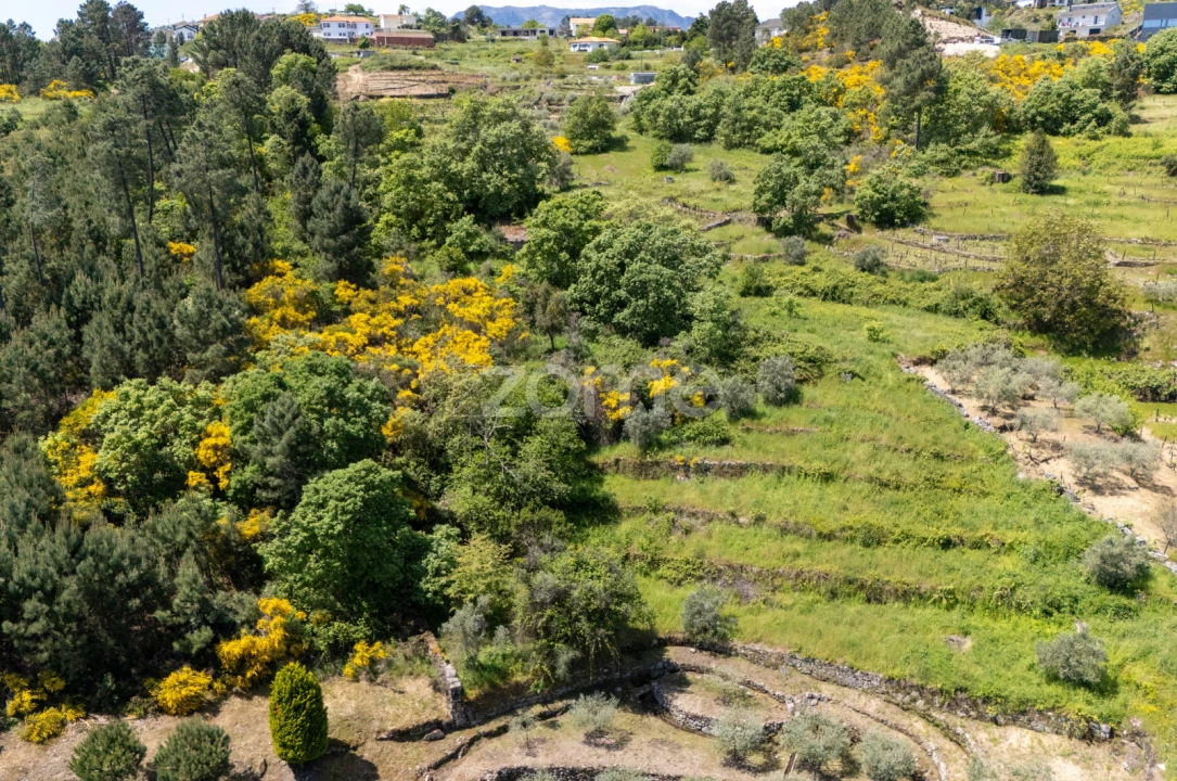 Moradia T1 para Venda em Torgueda Foto 21