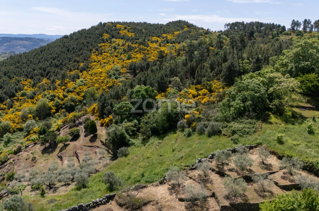 Moradia T1 para Venda em Torgueda Foto 19
