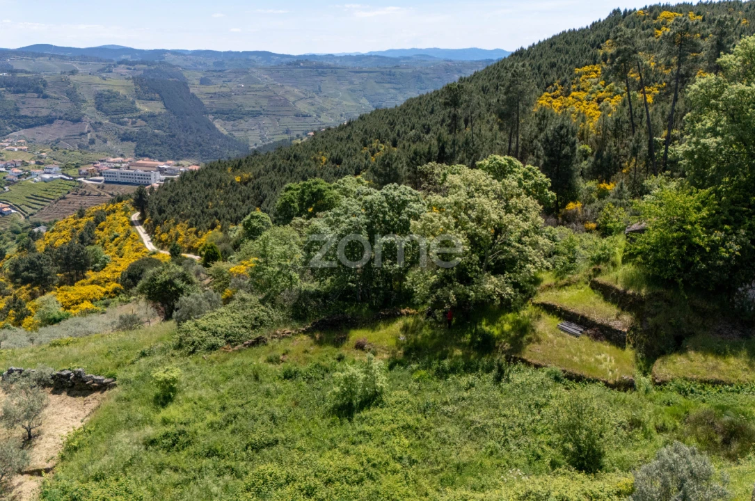 Moradia T1 para Venda em Torgueda Foto 32