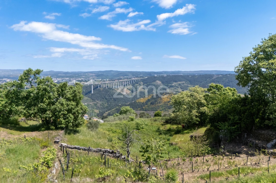 Moradia T1 para Venda em Torgueda Foto 22