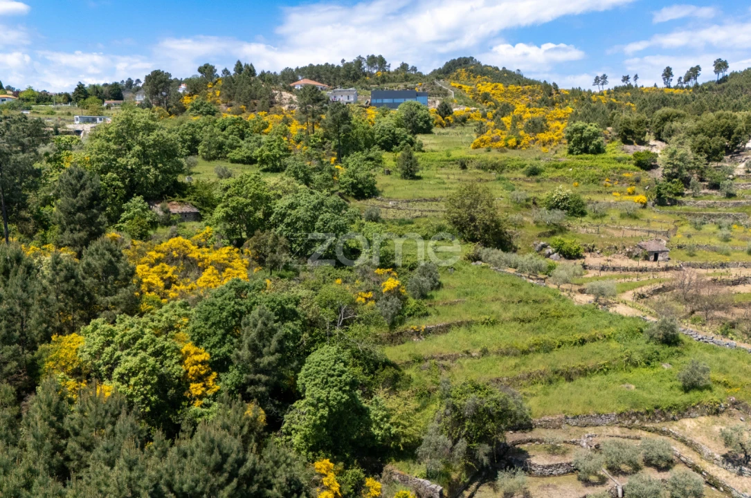 Moradia T1 para Venda em Torgueda Foto 33