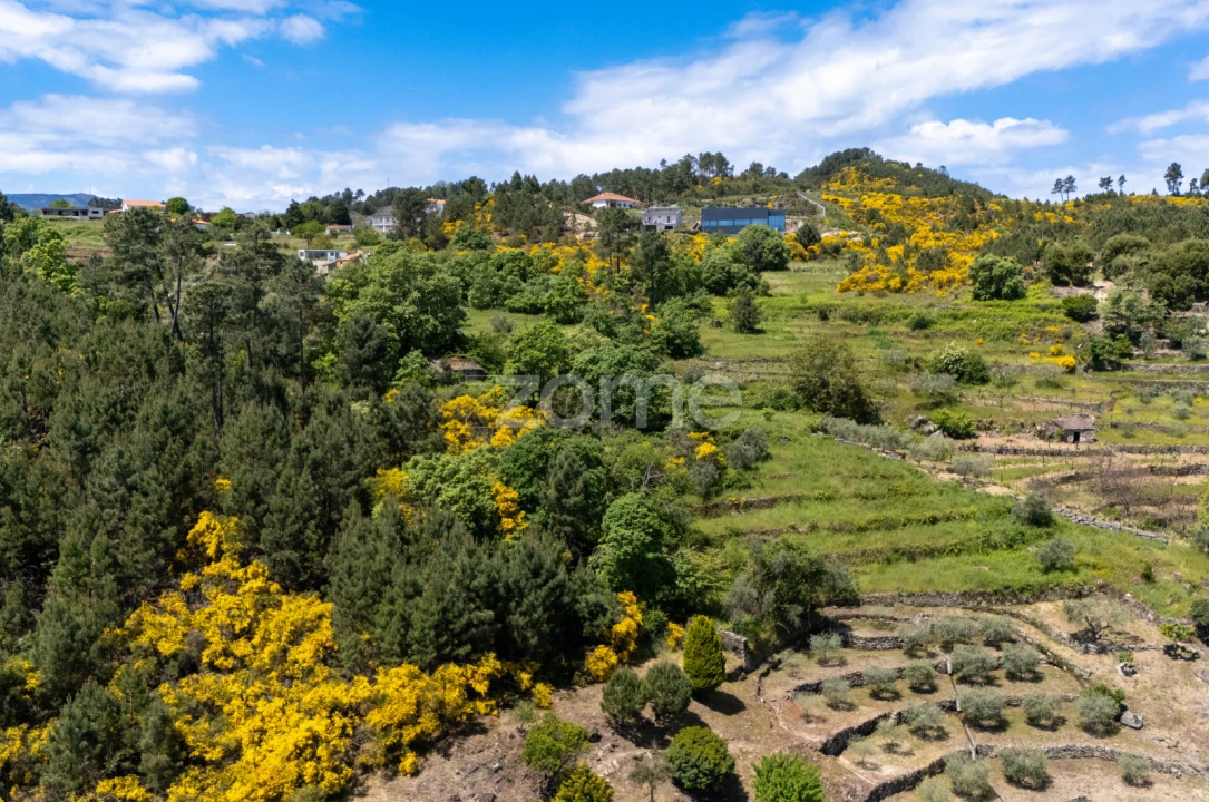 Moradia T1 para Venda em Torgueda Foto 34