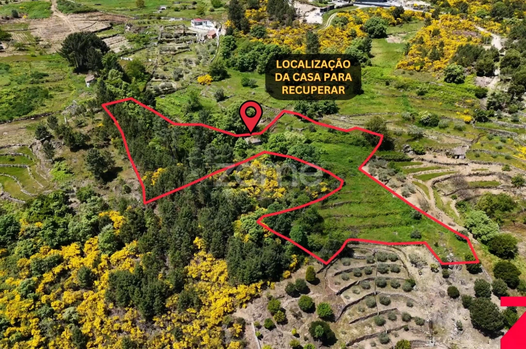 Moradia T1 para Venda em Torgueda Foto 4