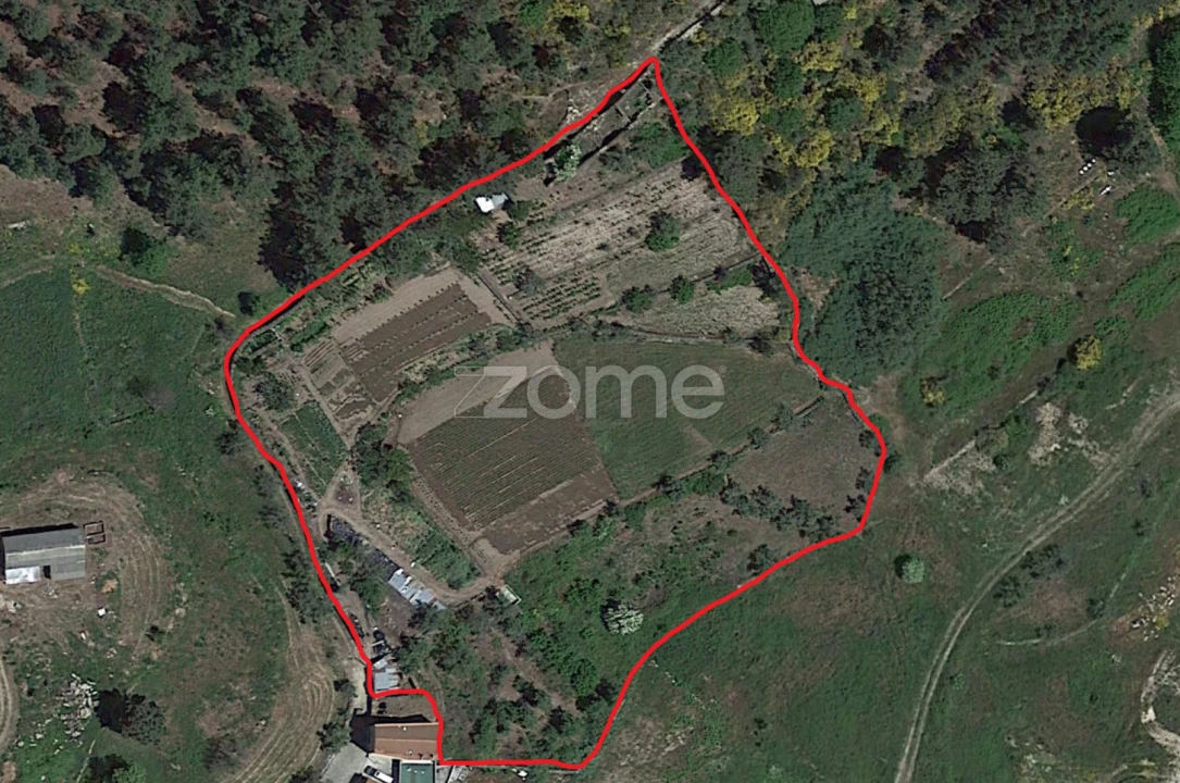 Quinta T1 para Venda em Moimenta da Beira Foto 7