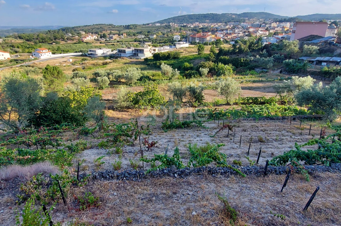 Quinta T1 para Venda em Moimenta da Beira Foto 3