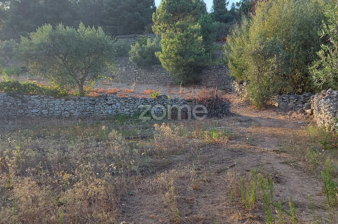 Quinta T1 para Venda em Moimenta da Beira Foto 2