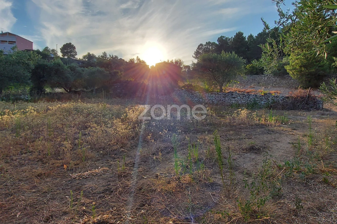 Quinta T1 para Venda em Moimenta da Beira Foto 4