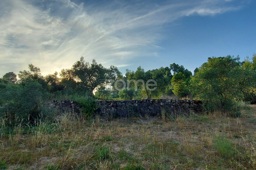 Quinta T1 para Venda em Moimenta da Beira Foto 5