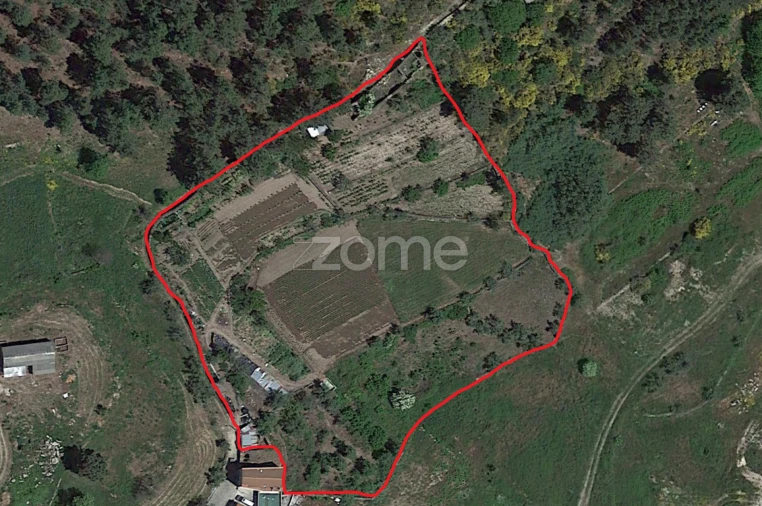 Quinta T1 para Venda em Moimenta da Beira Foto 7