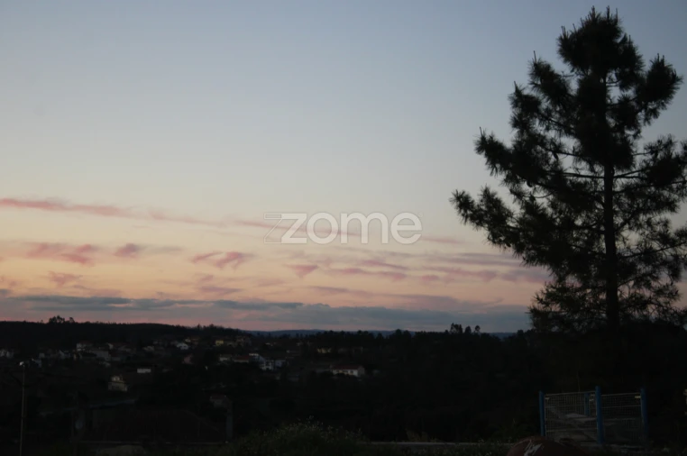 Quinta T1 para Venda em Moimenta da Beira Foto 11