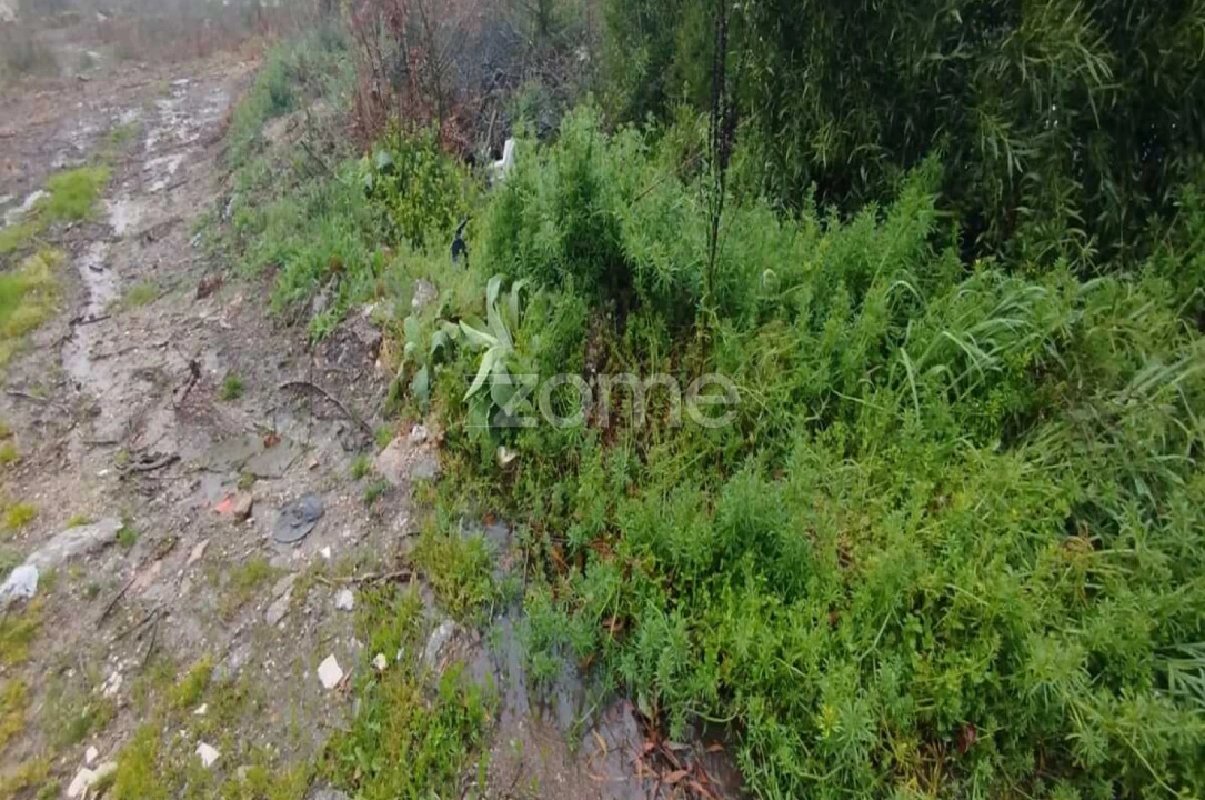 Quinta T1 para Venda em Moimenta da Beira Foto 13