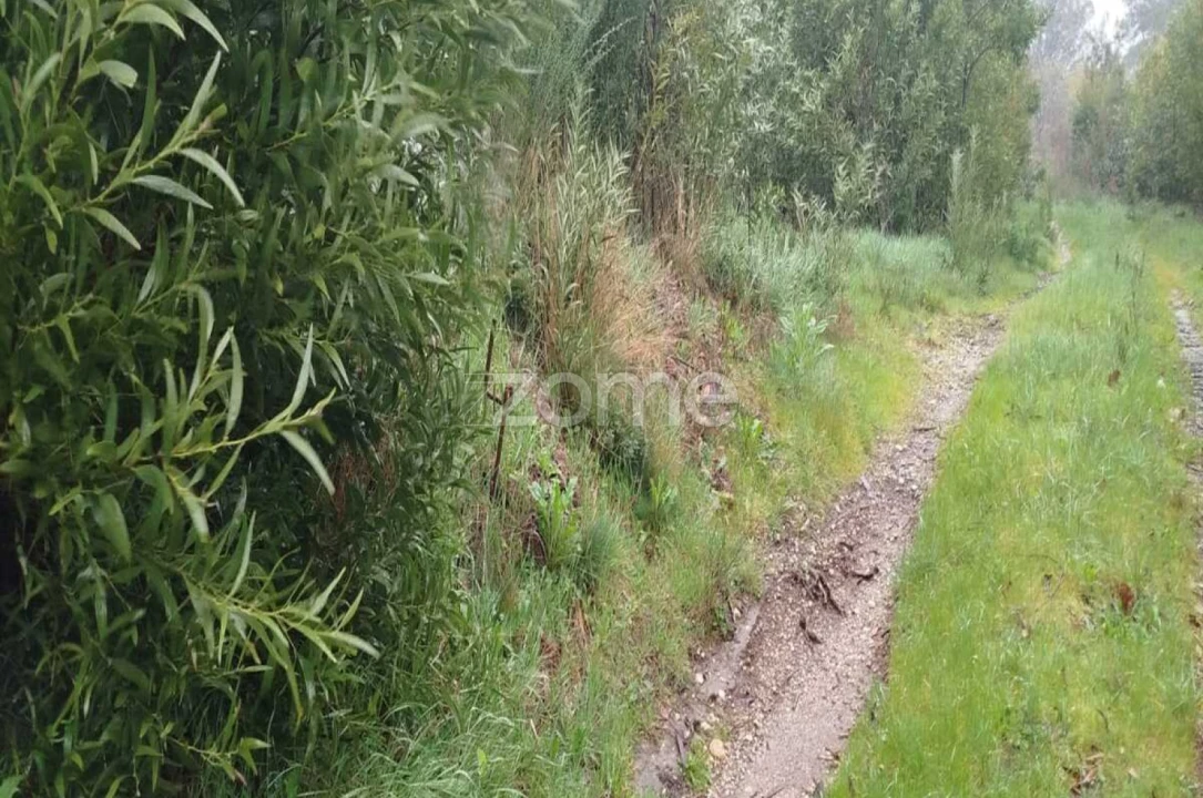 Quinta T1 para Venda em Moimenta da Beira Foto 15