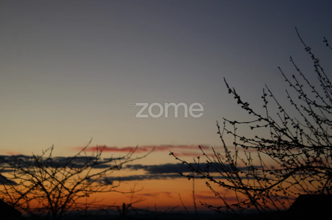 Quinta T1 para Venda em Moimenta da Beira Foto 12