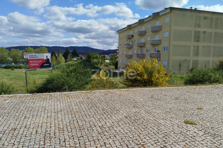 Terreno para Venda em Moimenta da Beira Foto 9