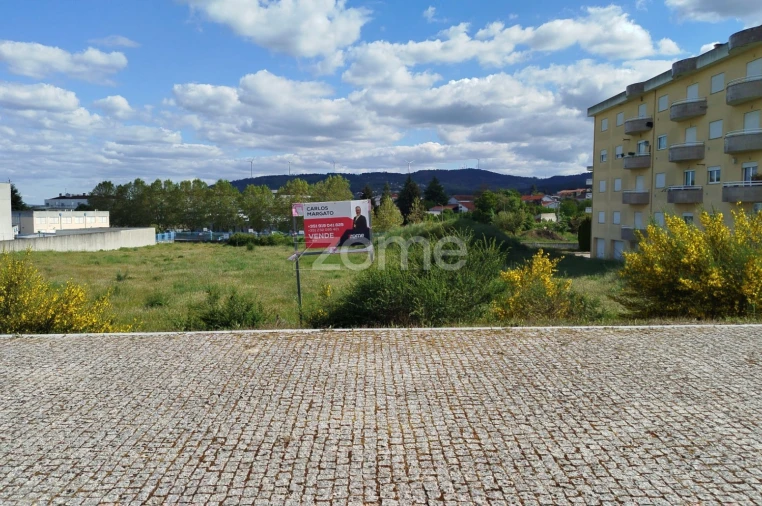 Terreno para Venda em Moimenta da Beira Foto 13