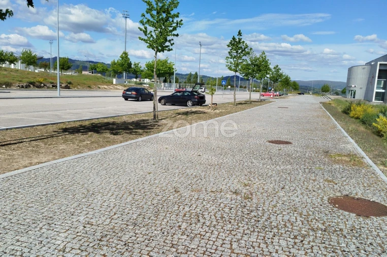 Terreno para Venda em Moimenta da Beira Foto 14
