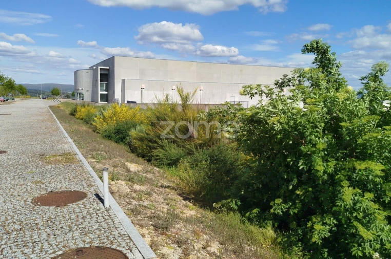 Terreno para Venda em Moimenta da Beira Foto 11